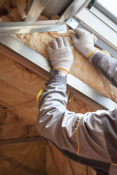 Best Eco-Friendly Insulation in Belle Glade, FL