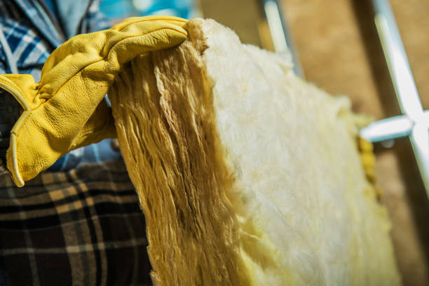 Professional Insulation Contractor in Belle Glade, FL