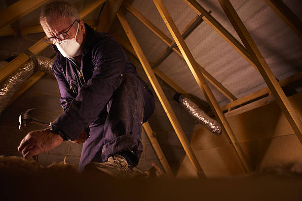 Best Cellulose Insulation in Belle Glade, FL